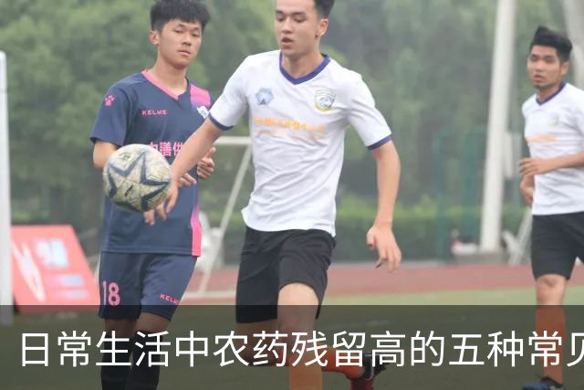 日常生活中农药残留高的五种常见蔬菜